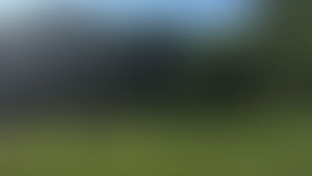 In the Blink of an Eye