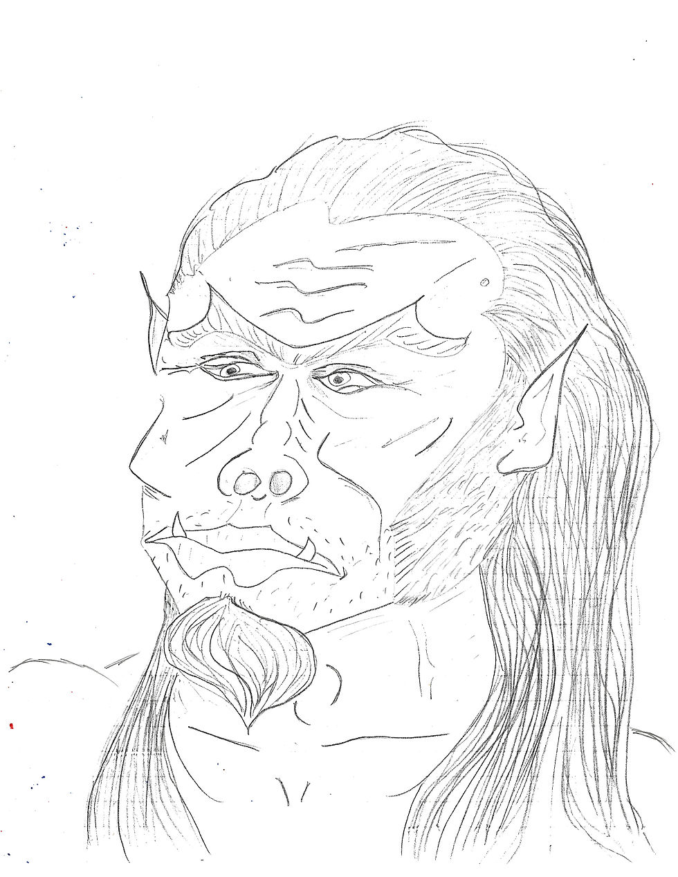 Arkon's half orc appearance