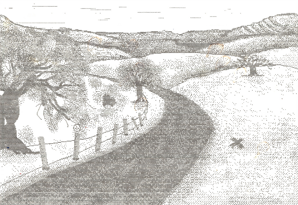 Road to Burle