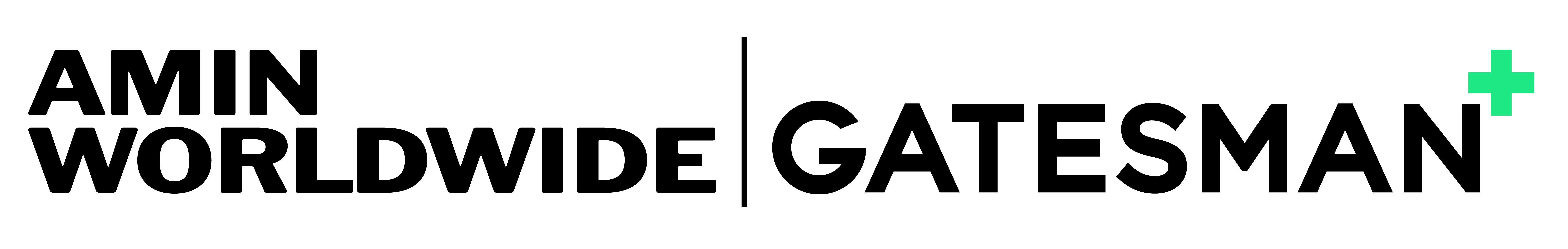 aminxgatesman.png
