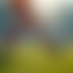 Capturing Sports: Top Video Production Techniques