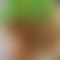 Buckwheat galettes (Galettes de sarrasin)