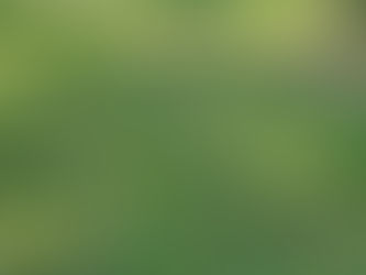 clover field