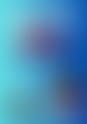 Australia Day Celebrations