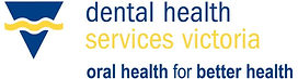 DHSV-Full-Logo_colour-1024x288.jpg