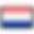 Dutch Translation