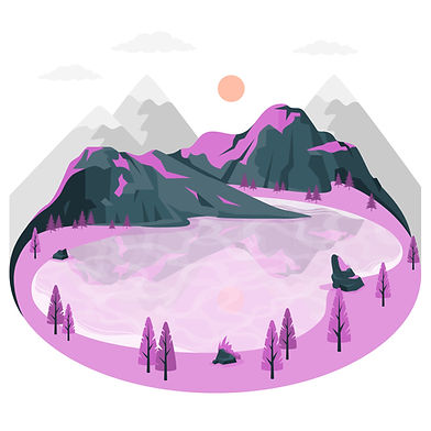 Translation of documents from English to Norwegian