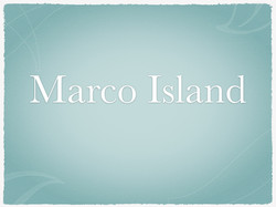 Podiatrists House Calls Podiatry Foot Doctor Home Visits Marco Island Florida FL