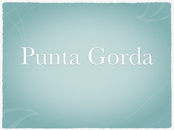 Podiatrist House Calls Foot Doctor Podiatry Home Visits Punta Gorda Florida FL