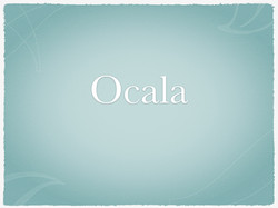 Ocala Florida Podiatrist House Calls Mobile Podiatry Home Visits FL
