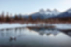 Banff, Canada (12/8 - 12/15)