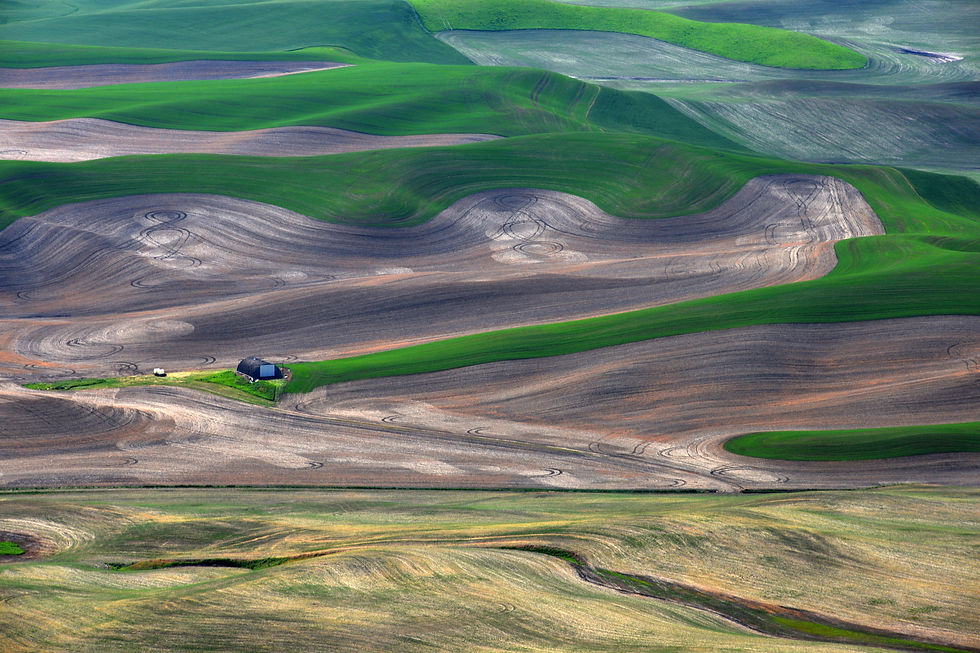 Palous & Portland (6/8 - 6/13)