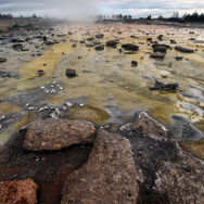배한나 DSC_5122.jpg