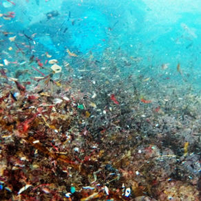7 Insightful Facts About Microplastic Pollution in the Ocean