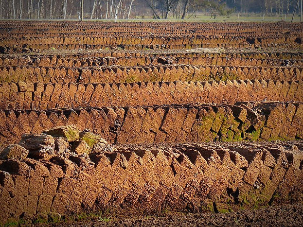 Peat soil cut into bricks.