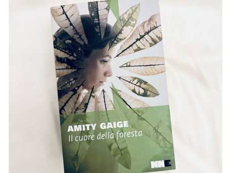 RECENSIONE - Il cuore della foresta di Amity Gaige