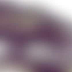 לצוד את הדוב - מה אומרים המשקיעים הגדולים?