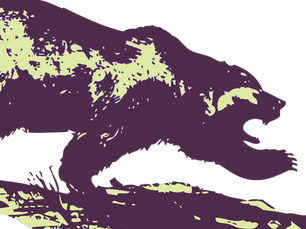 לצוד את הדוב - מה אומרים המשקיעים הגדולים?