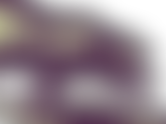 לצוד את הדוב - מה אומרים המשקיעים הגדולים?