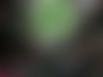 סקירה לחודש פברואר – השוק מפתח תסמיני קורונה