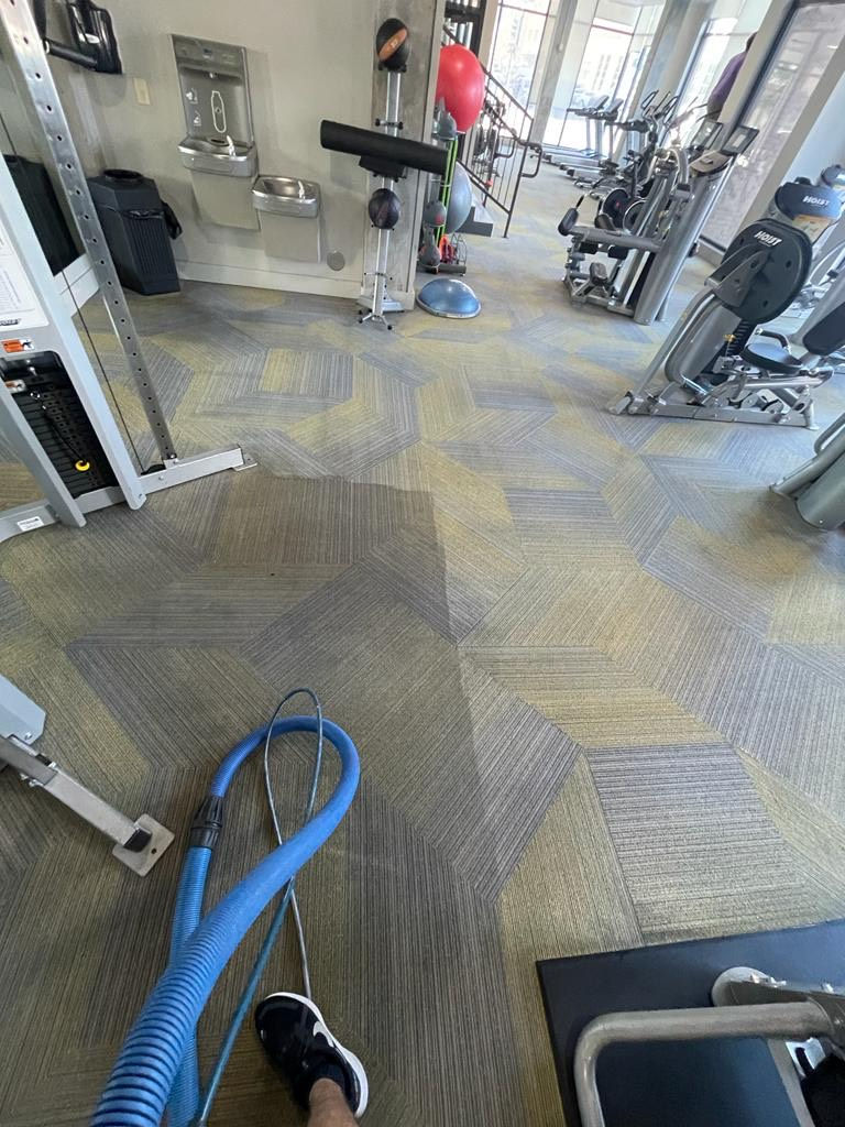 Carpet Cleaning