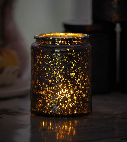 Wood Sage and Sea Salt | snohomish-garden-ctr