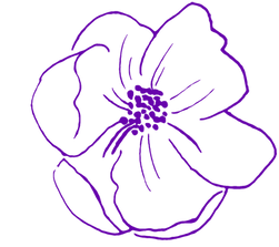 HIVE FLOWER