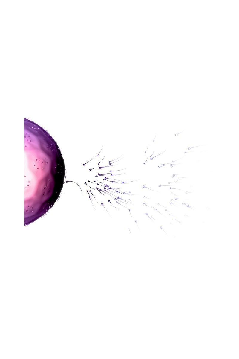 Preconception Lab Testing for Women: The Blood Work That Helps You Prepare for Pregnancy