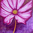 Garden Flower 