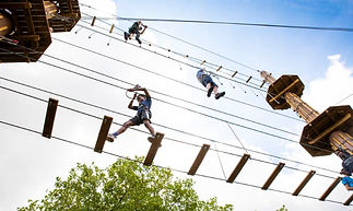 Baby laying in bassinet