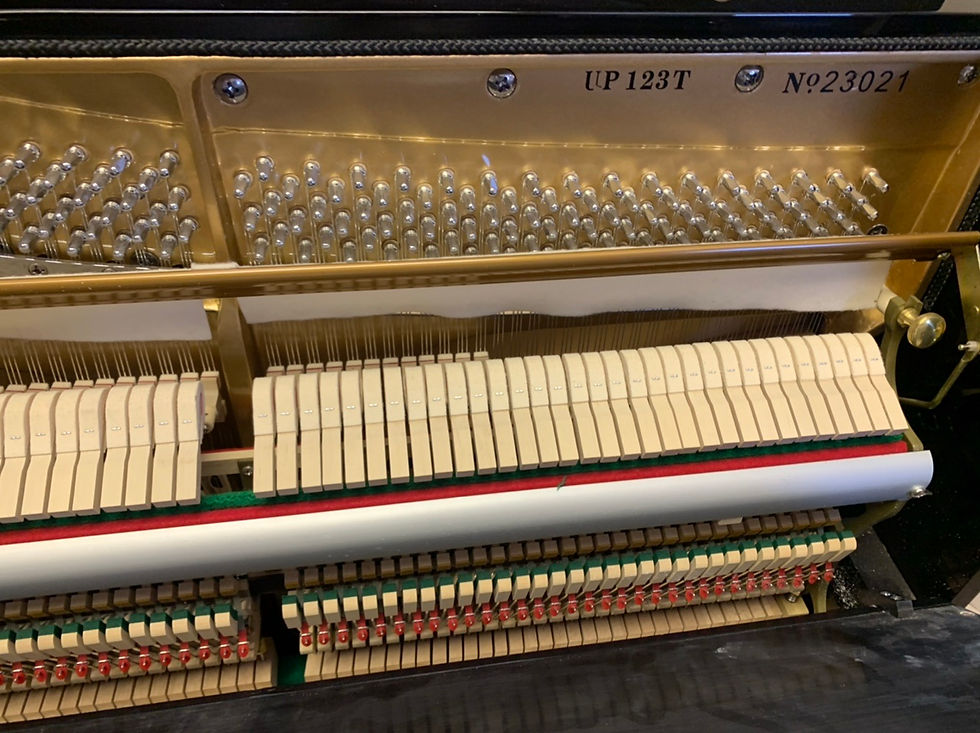 Thumbnail: Winchester UP123T upright piano - Gloss black - Like new