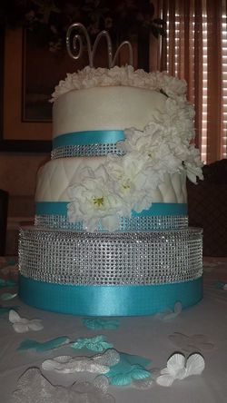 11123601_979838582040532_770589360_n (1) - Copy.jpg