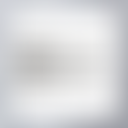 Bayside Corporation Highlights Advancements and CEO Vision for Future Growth