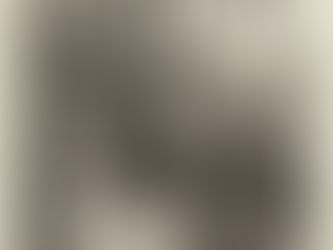 Immigration Law for US Citizens