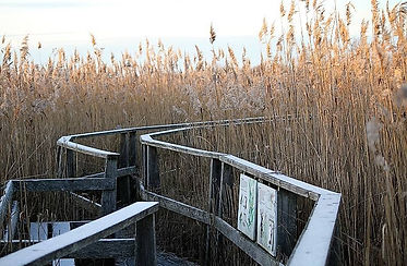 Gundsømaglesø_træbro_Rørskov_vesttårn.jp