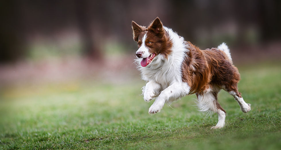 AdobeStock_299097784 (1).jpeg