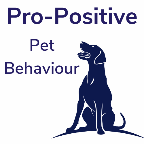 All positive dog training cheap