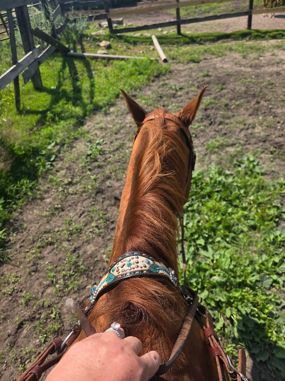 Jackson and I enjoying a sunny stroll