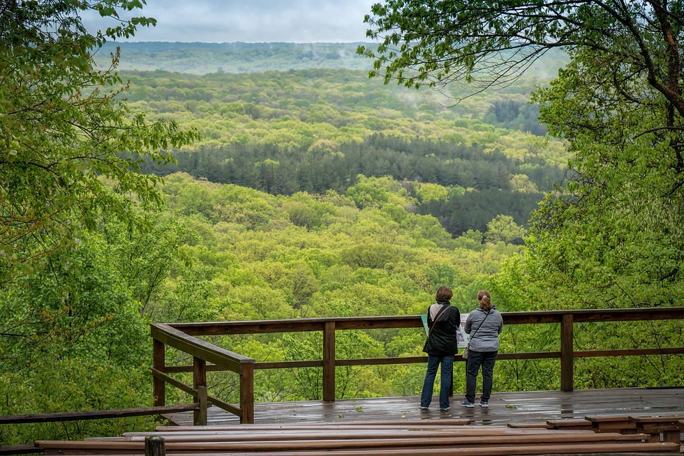 Amazing views like this one are bountiful in Brown County State Park.