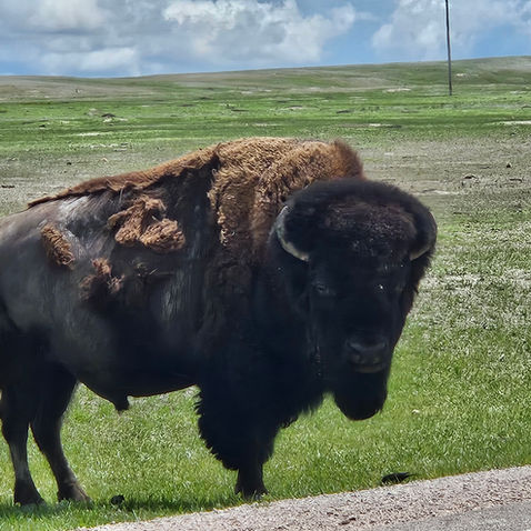 A Very Active Week in South Dakota - Part 2 National and State Parks