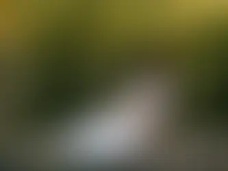 maternity photographer phoenix