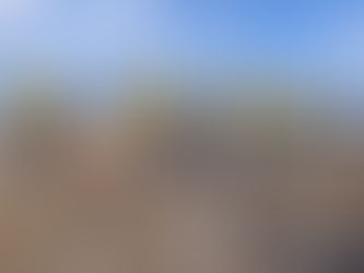 Brigadistas de Protección Civil amplían habilidades contra incendios forestales