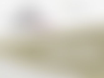 Anel Nochebuena asume la Dirección de Museos. Preservar memoria histórica de Puebla, su meta