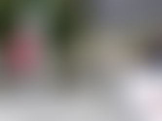 El secretario de la SEGOB, Javier Aquino, coloca el Bando Solemne de las Fiestas Patrias en Puebla