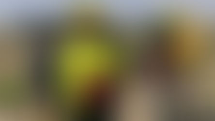 Por desplome de avioneta, 3 muertos y un herido, el reporte de PC estatal