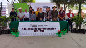 Medio Ambiente activa jornadas semanales de reforestación