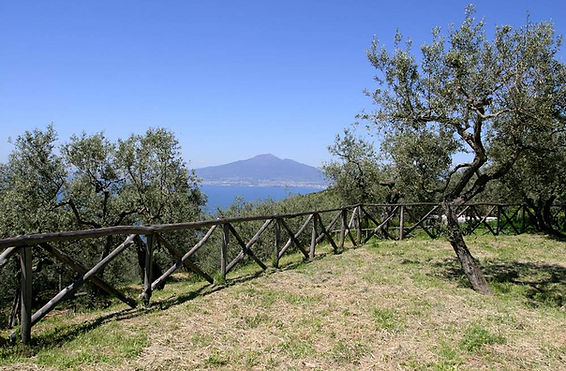 a country inn sorrento.jpg