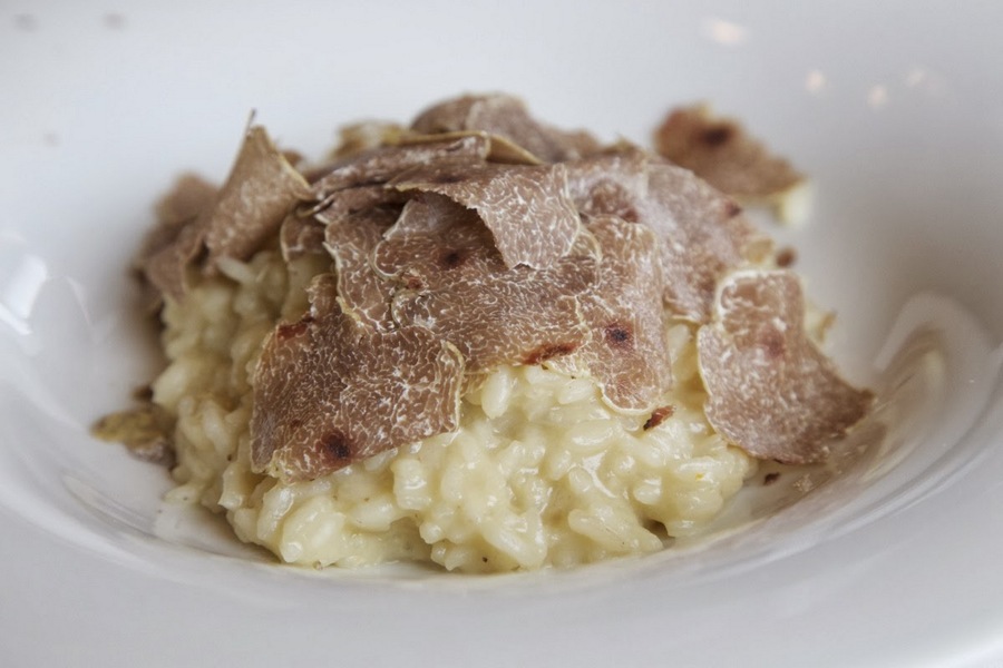 Experiencing The Truffle