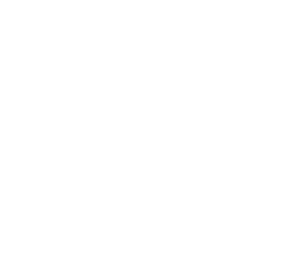 TChicken Drawing.png