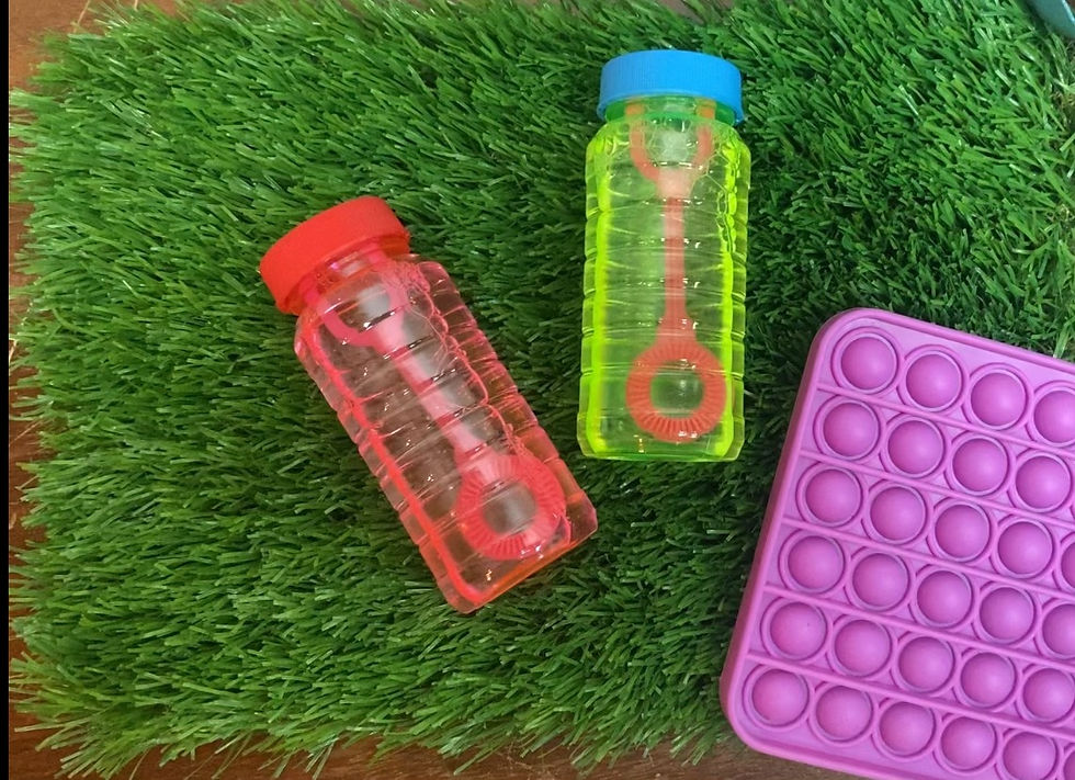 sensory and emotional regulation tools can support executive functioning